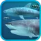 Sharks 3D