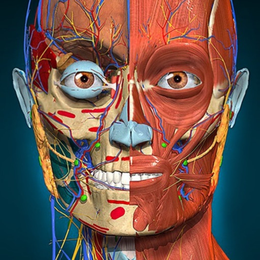 Anatomy Learning - 3D Anatomy Anatomy Learning - 3D Anatomy