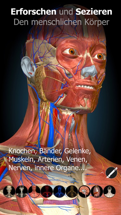 Anatomy Learning - 3D Anatomy Screenshots