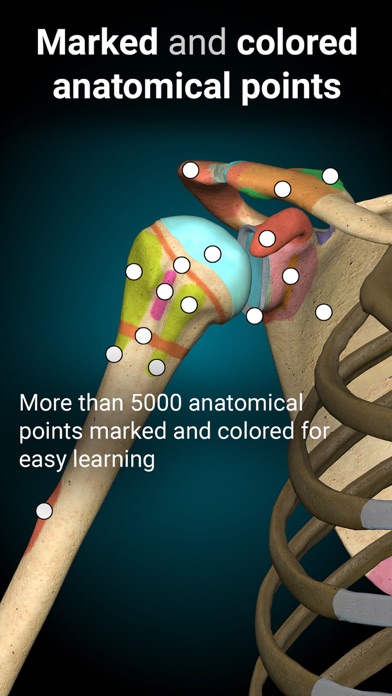 Anatomy Learning - 3D Anatomy Screenshots