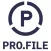PRO.FILE FLEX