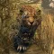 Animal Hunting : African Jungle