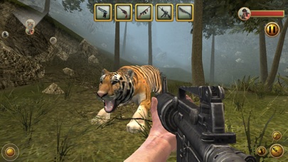 Capturas de tela do Wild Hunting Challenge 2016