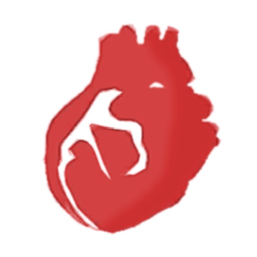 Coronary Angiography Simulator Coronary Angiography Simulator