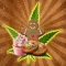 Baked! - 50 New Medical Marijuana Cookbook Recipes