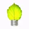 Solar Energy Carrollwood