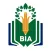 The BIA School