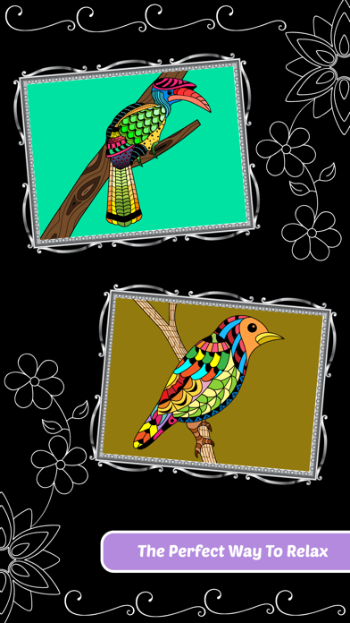 Love Birds Art Class: Stress Relieving Coloring Books for Adults Screenshots