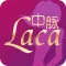中脉LACA