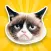 GrumpyBomb - Grumpy Cat Photobomb