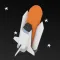 Fly to the Moon - last mission