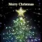 Xmas/Greeting card Stickers