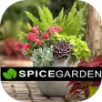 Abraham's Spice Garden