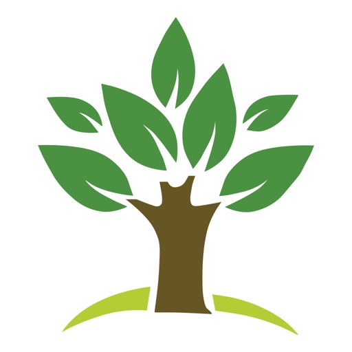 Only Eco-Friendly Only Eco-Friendly