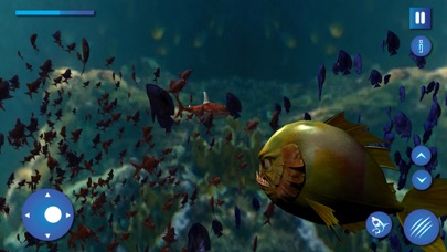 Ferocious Piranha Fish Escape Screenshots