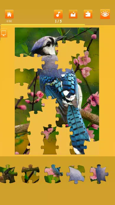 Jigsaw mania 2 Screenshots