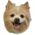 Pmail