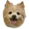 Pmail