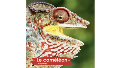 Ảnh chụp màn hình của Austral Editions