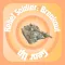 Rebel Soldier: Breakout