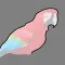 Parrot Paper