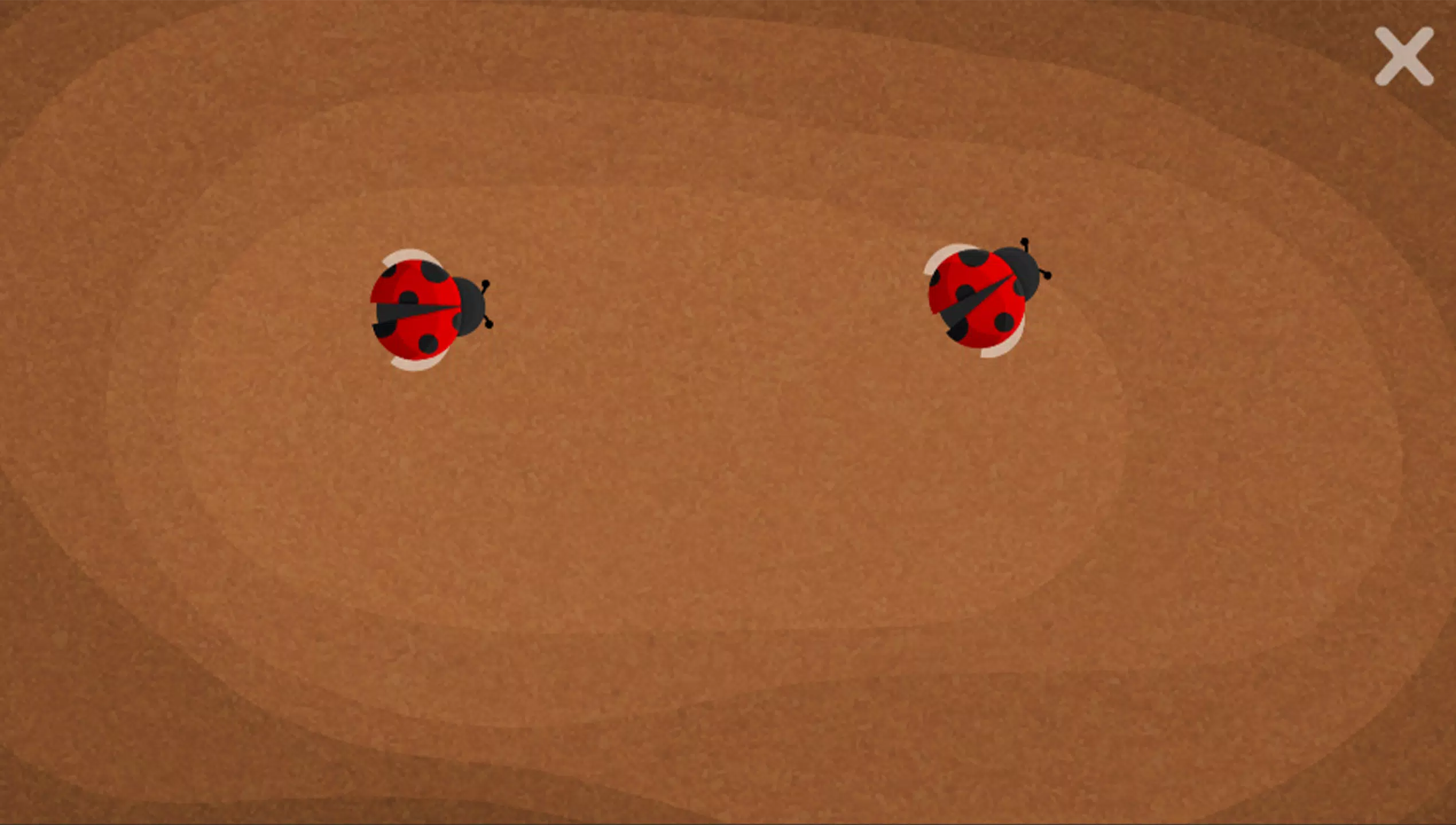 Cat Toy - Cat Bat Screenshots