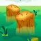 Log Run 3D