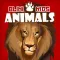 Blini Kids Animals