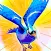 City Clicker – Bird Plus