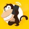 Link VoIP