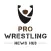 Pro Wrestling News Hub