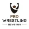 Pro Wrestling News Hub