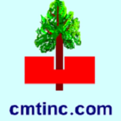 Cruise Angle iCMT Cruise Angle iCMT