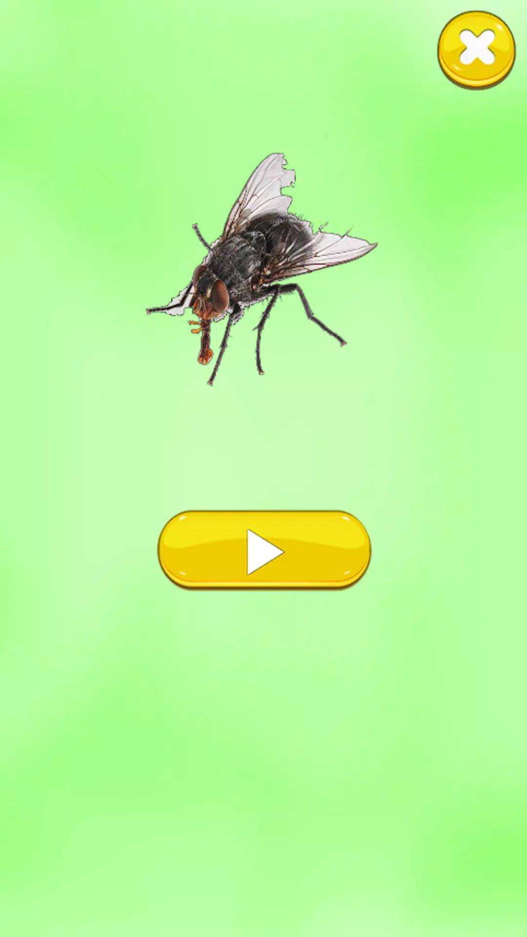 Insect Sounds Screenshots