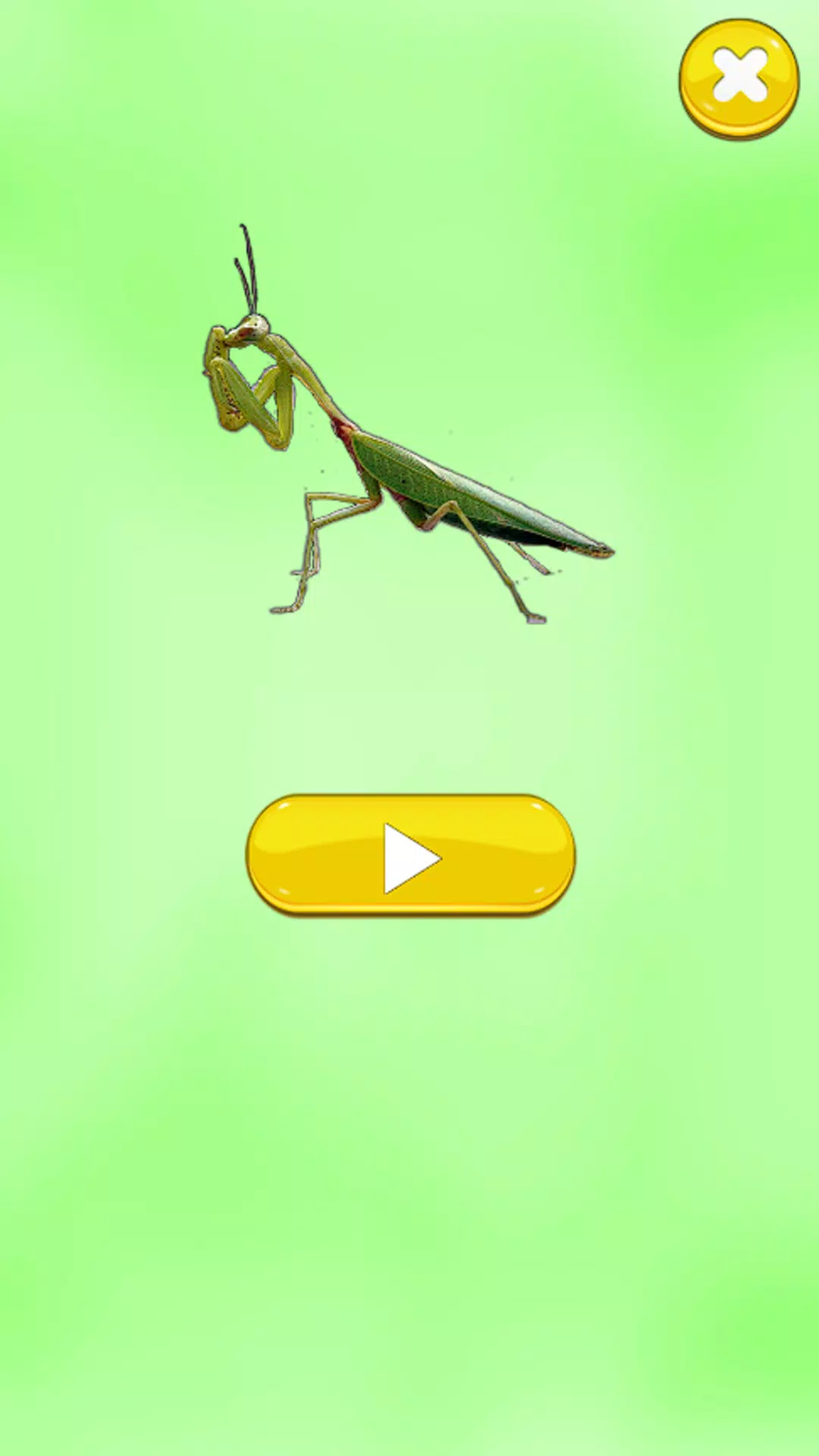 Insect Sounds Screenshots