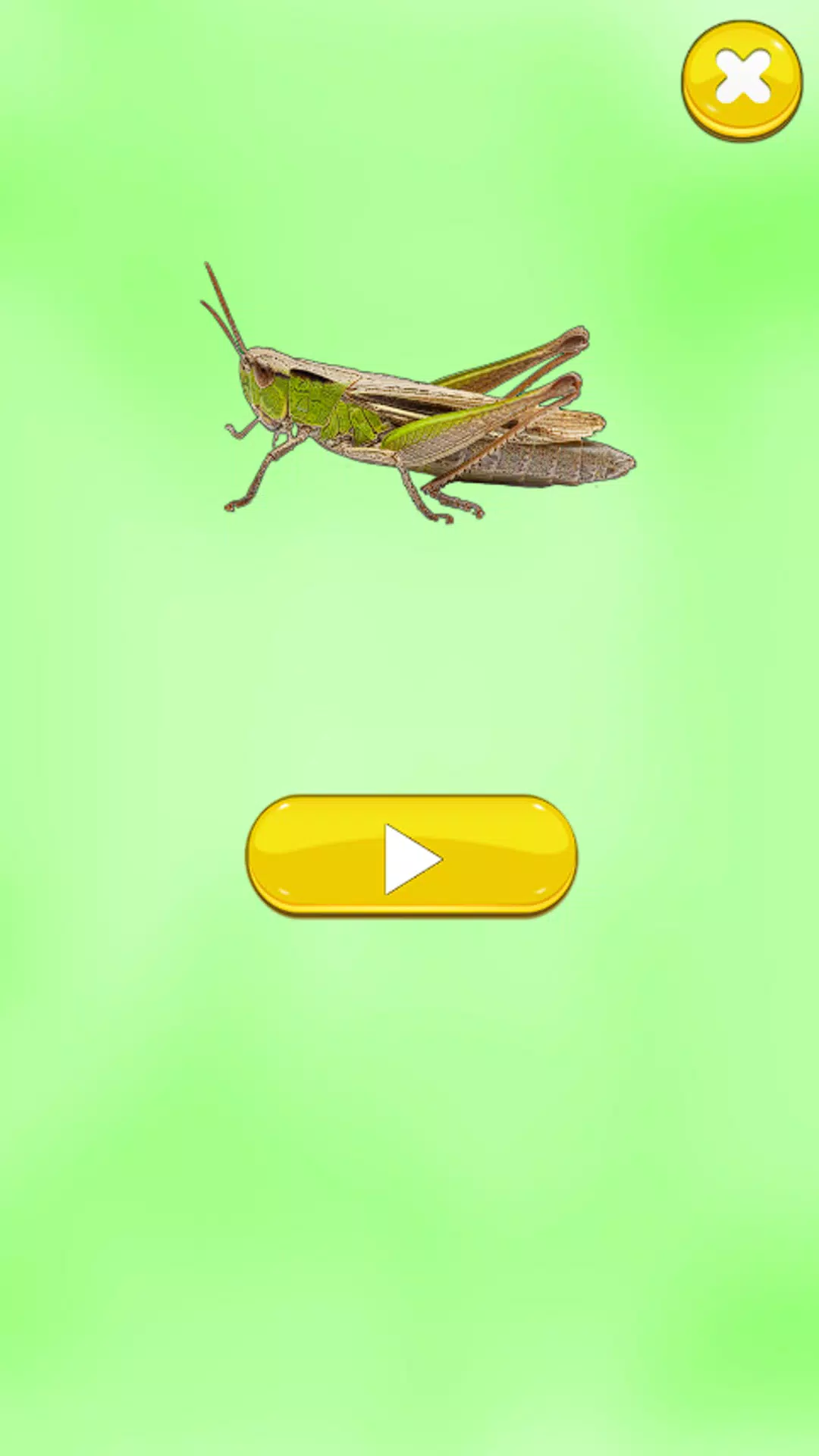 Insect Sounds Screenshots