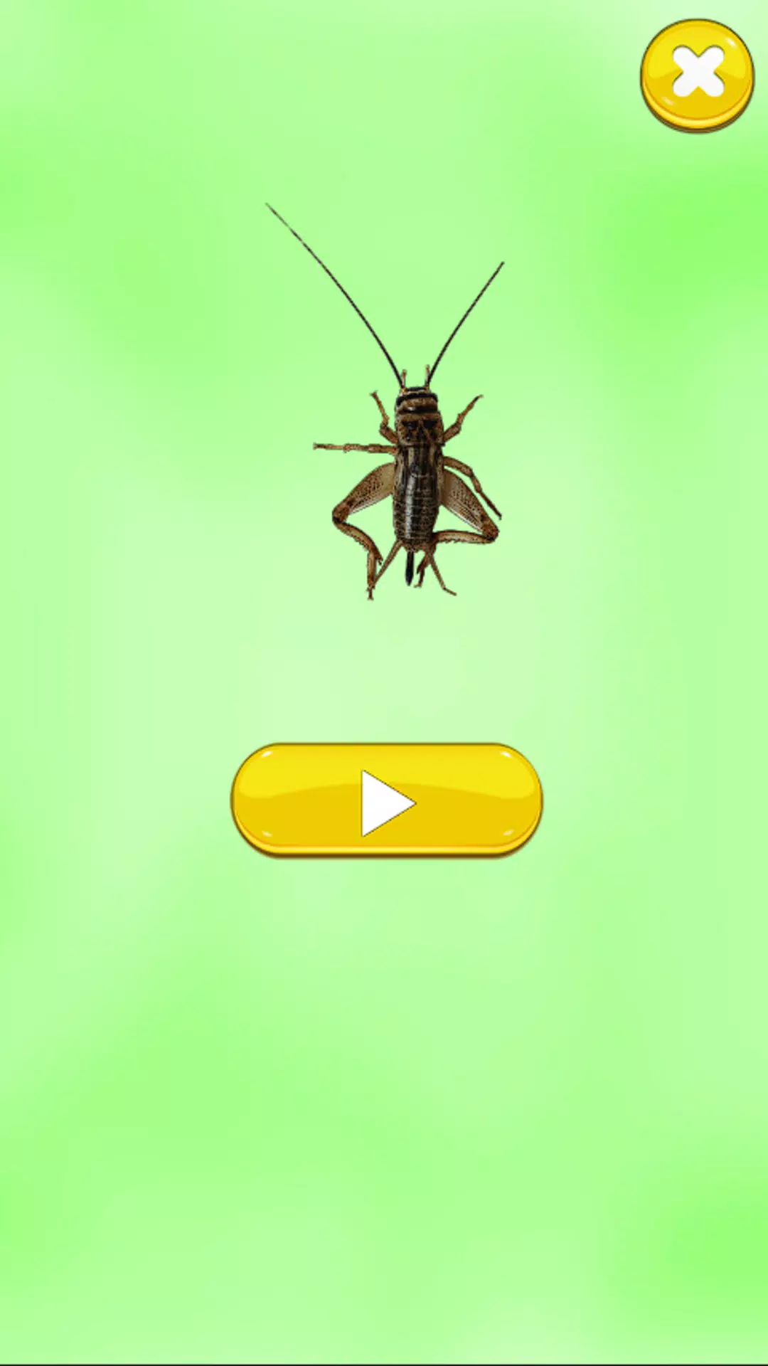 Insect Sounds Screenshots