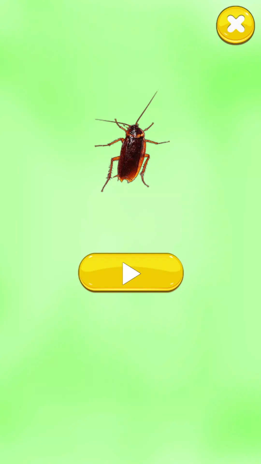 Insect Sounds Screenshots