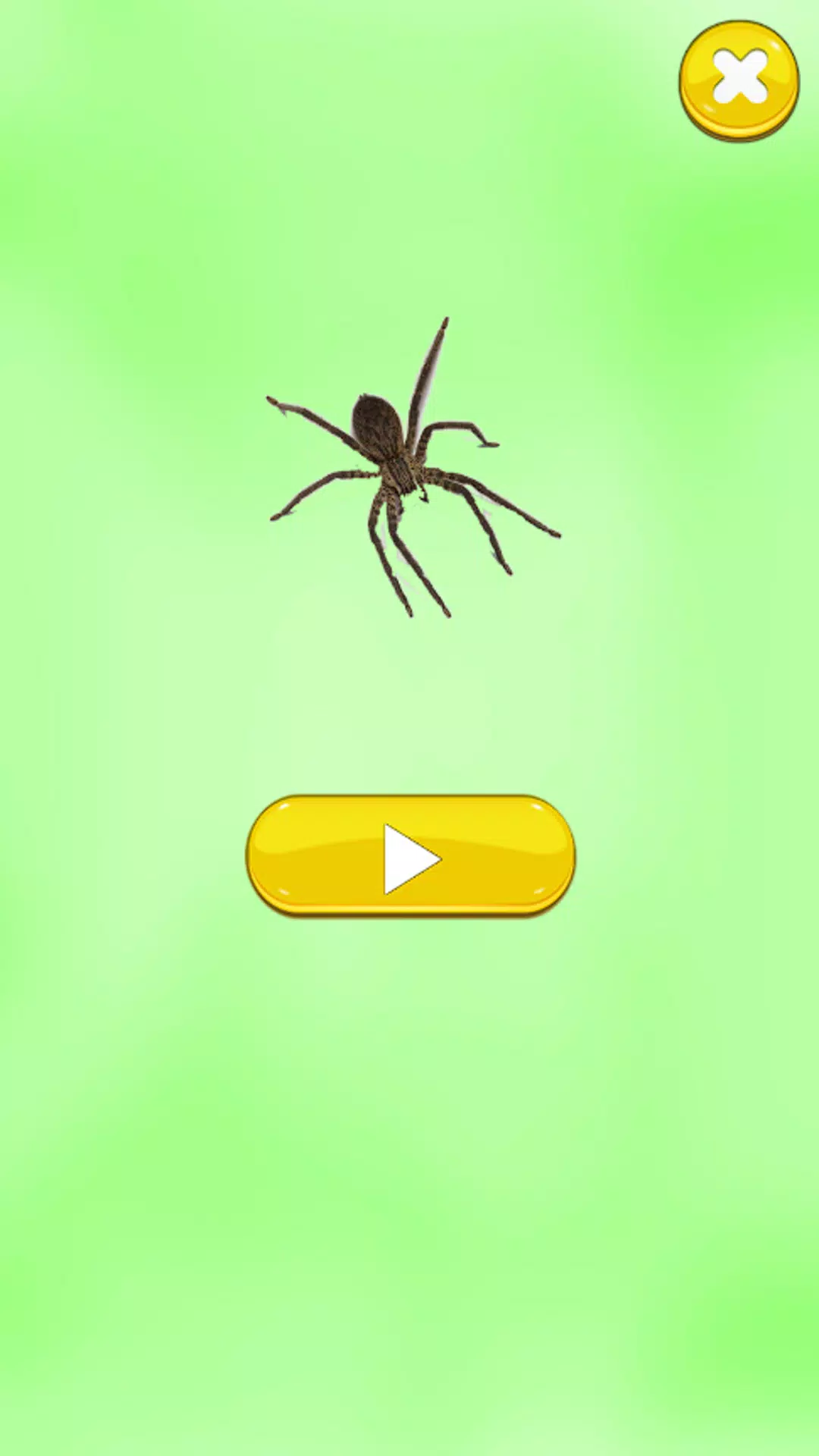 Insect Sounds Screenshots