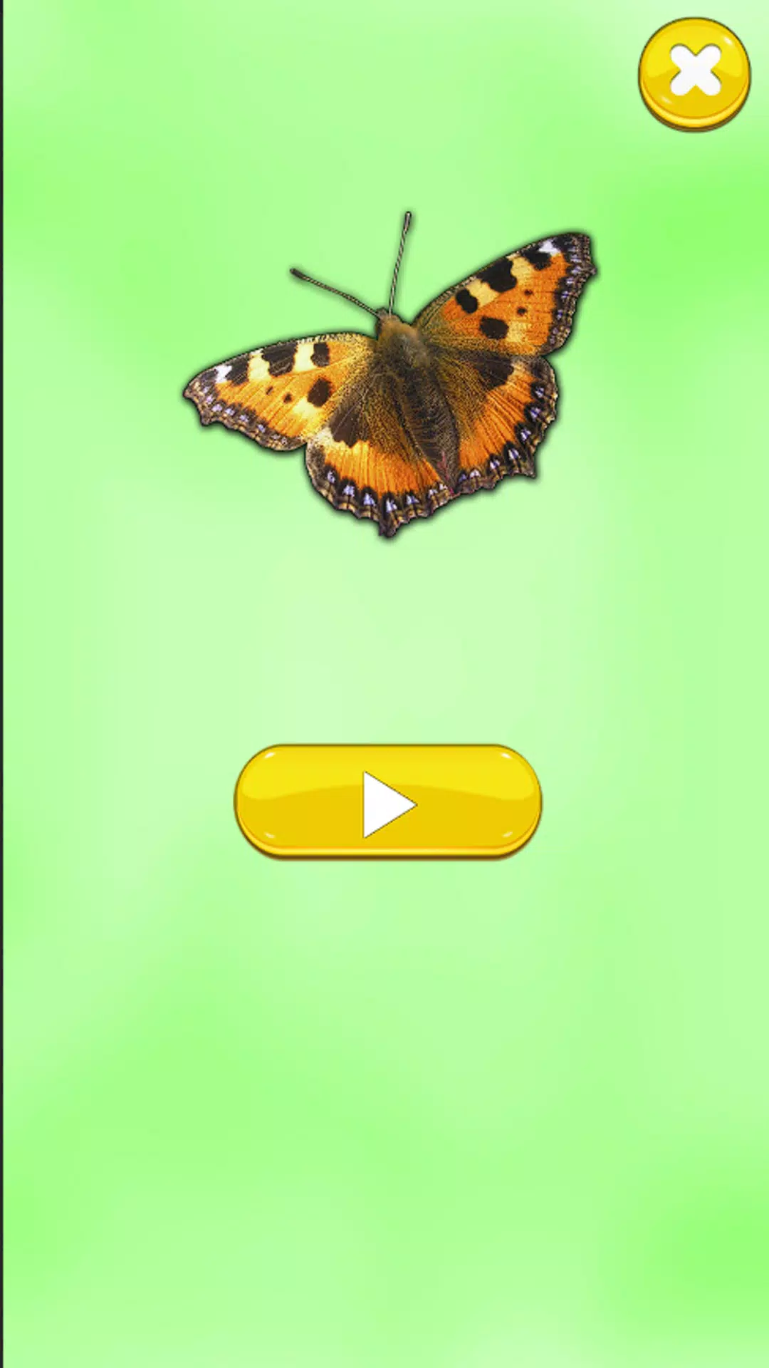 Insect Sounds Screenshots