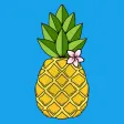 Aloha All Ways