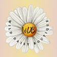 Wild Daisy Boutique