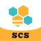 BES-SCS