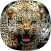 Cheetah Sounds
