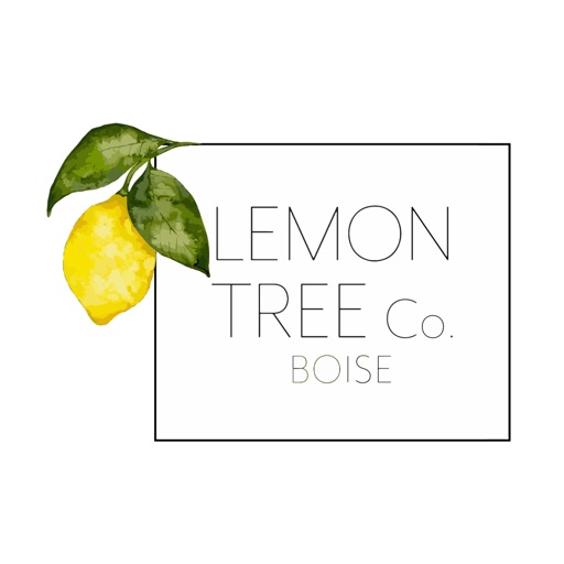 Lemon Tree Co. Lemon Tree Co.