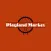 Playland Market NY