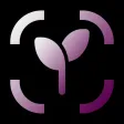 Flower Identifier - AI Scanner
