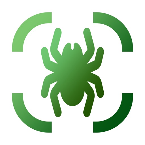 Spider Identifier - AI Scanner Spider Identifier - AI Scanner