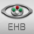 Eye Handbook
