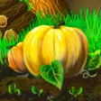 Hidden Objects Game :